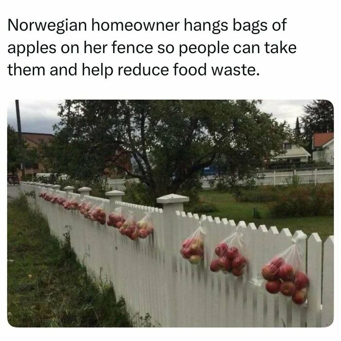86 Fascinating Stories And Random Finds From The Internet That Are Actually Worth Your Time 86 Fascinating Stories And Random Finds From The Internet That Are Actually Worth Your Time