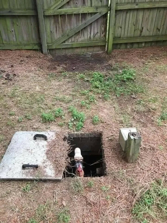 79 Pictures That Might Make You Look Once, Twice, Then A Third Time Just To Be Sure 79 Pictures That Might Make You Look Once, Twice, Then A Third Time Just To Be Sure