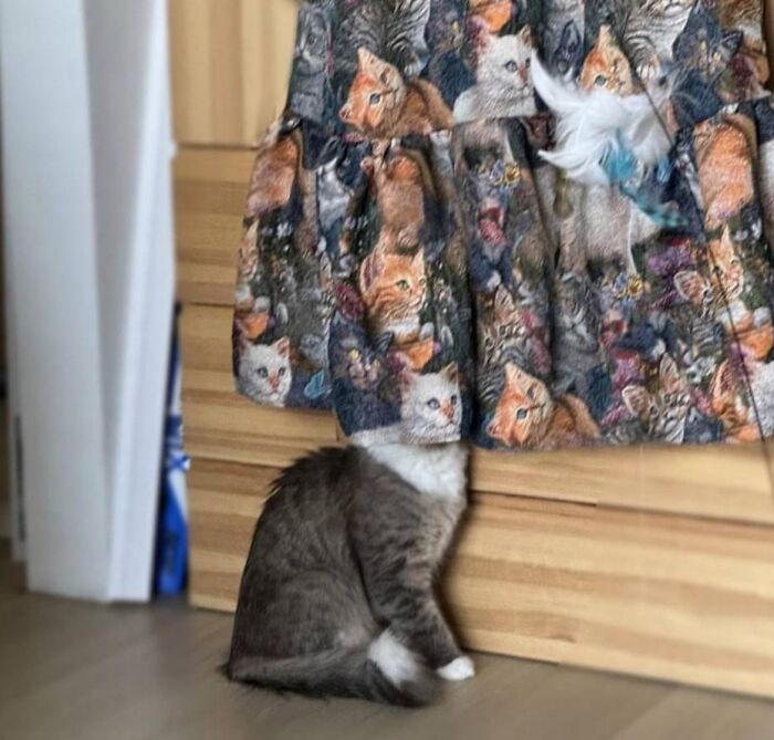 79 Pictures That Might Make You Look Once, Twice, Then A Third Time Just To Be Sure 79 Pictures That Might Make You Look Once, Twice, Then A Third Time Just To Be Sure