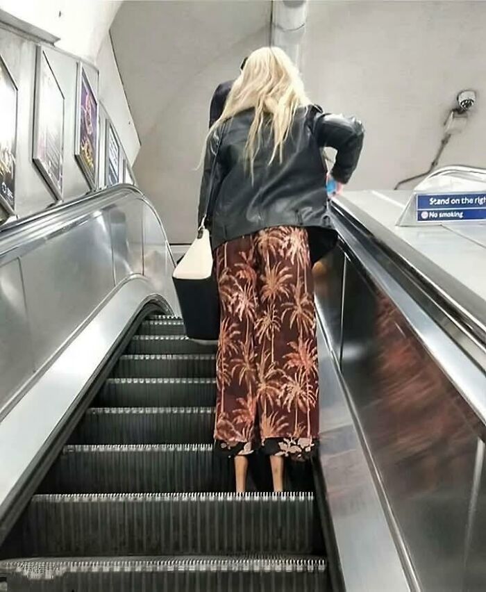 79 Pictures That Might Make You Look Once, Twice, Then A Third Time Just To Be Sure 79 Pictures That Might Make You Look Once, Twice, Then A Third Time Just To Be Sure