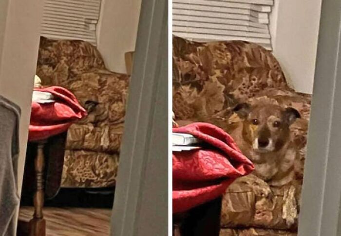 79 Pictures That Might Make You Look Once, Twice, Then A Third Time Just To Be Sure 79 Pictures That Might Make You Look Once, Twice, Then A Third Time Just To Be Sure