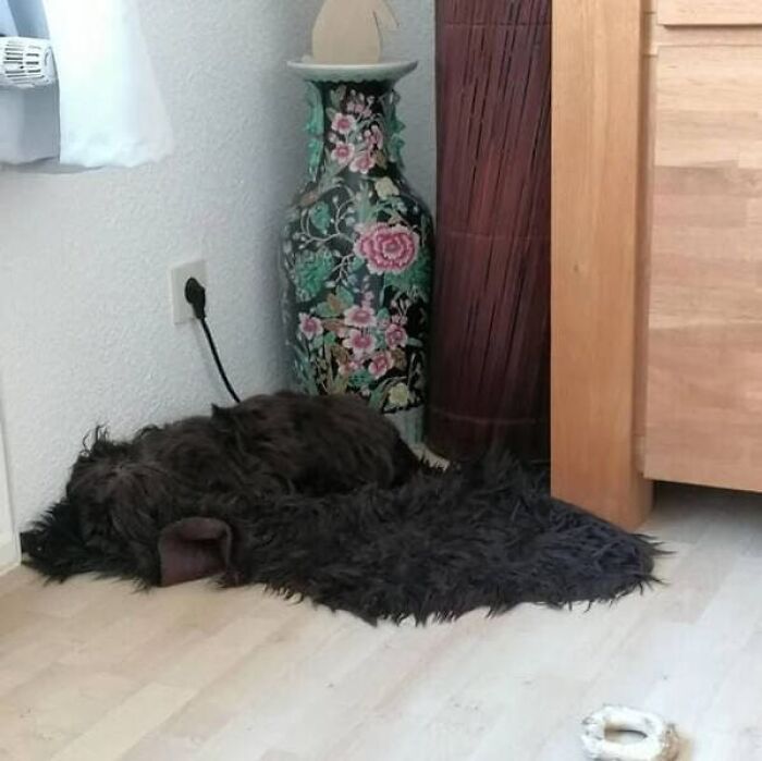 79 Pictures That Might Make You Look Once, Twice, Then A Third Time Just To Be Sure 79 Pictures That Might Make You Look Once, Twice, Then A Third Time Just To Be Sure