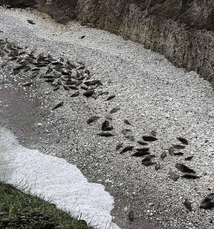 79 Pictures That Might Make You Look Once, Twice, Then A Third Time Just To Be Sure 79 Pictures That Might Make You Look Once, Twice, Then A Third Time Just To Be Sure