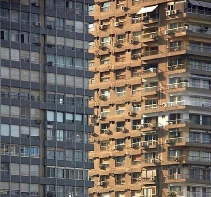 79 Pictures That Might Make You Look Once, Twice, Then A Third Time Just To Be Sure 79 Pictures That Might Make You Look Once, Twice, Then A Third Time Just To Be Sure