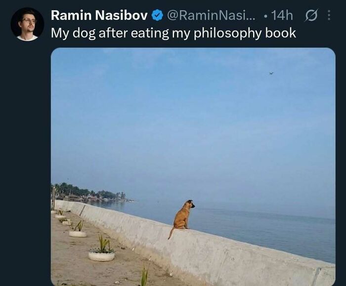 99 Edgy And Hilarious Memes That Might Make Your Day A Little Less Boring (New Pics)