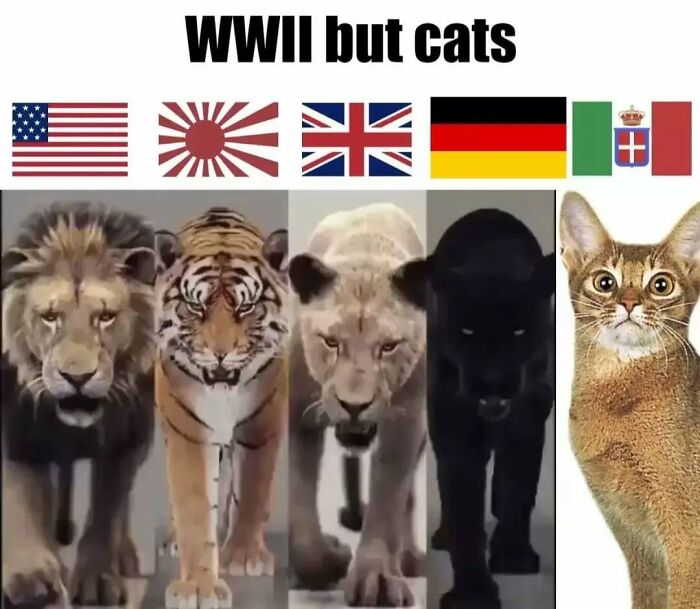 “Just One More Country”: These 71 History Memes Put A Hilarious Spin On The Past “Just One More Country”: These 71 History Memes Put A Hilarious Spin On The Past