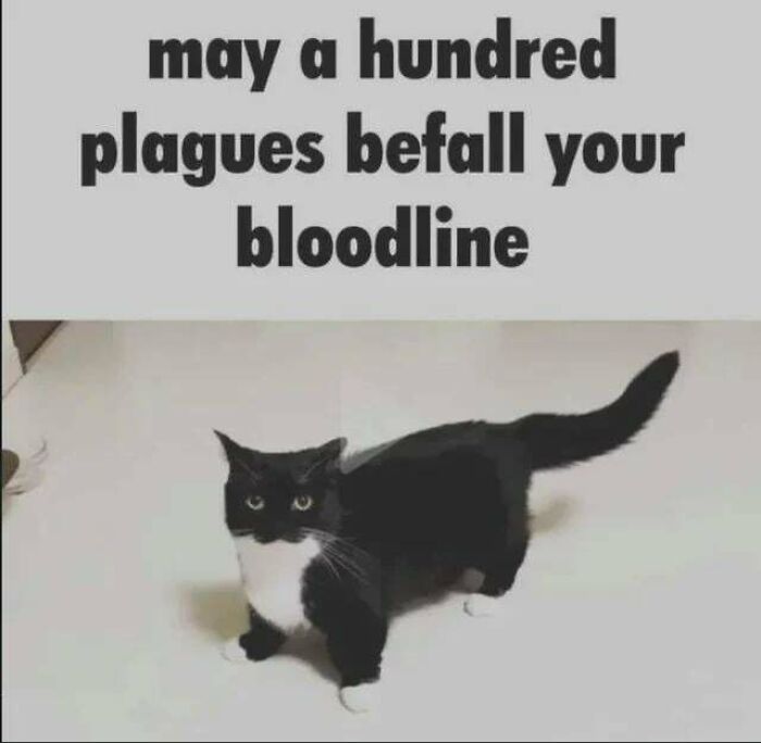 53 Funny Memes That Might End Up In Your Friends’ DMs Before You Finish Scrolling 53 Funny Memes That Might End Up In Your Friends’ DMs Before You Finish Scrolling