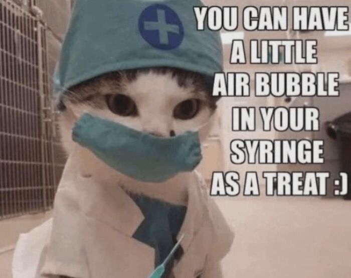 53 Funny Memes That Might End Up In Your Friends’ DMs Before You Finish Scrolling 53 Funny Memes That Might End Up In Your Friends’ DMs Before You Finish Scrolling