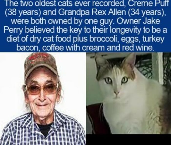 63 Interesting Facts That May Make You Insufferably Good At Quiz Night 63 Interesting Facts That May Make You Insufferably Good At Quiz Night