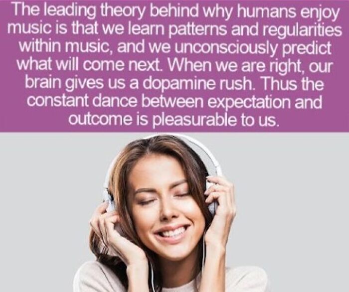 63 Interesting Facts That May Make You Insufferably Good At Quiz Night 63 Interesting Facts That May Make You Insufferably Good At Quiz Night