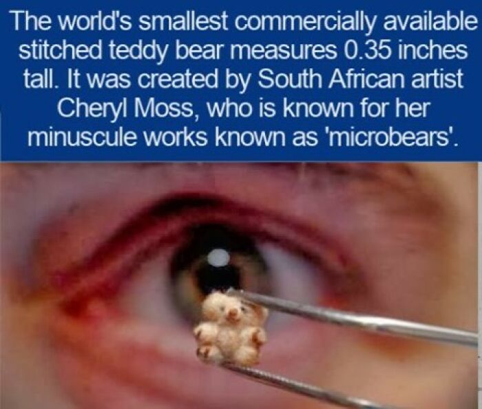 63 Interesting Facts That May Make You Insufferably Good At Quiz Night 63 Interesting Facts That May Make You Insufferably Good At Quiz Night