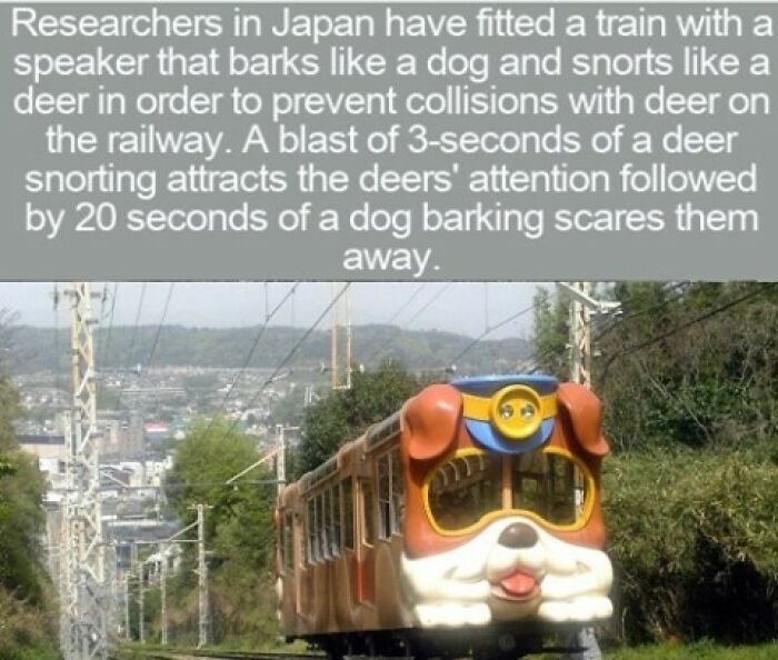 63 Interesting Facts That May Make You Insufferably Good At Quiz Night 63 Interesting Facts That May Make You Insufferably Good At Quiz Night
