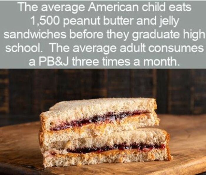 63 Interesting Facts That May Make You Insufferably Good At Quiz Night 63 Interesting Facts That May Make You Insufferably Good At Quiz Night