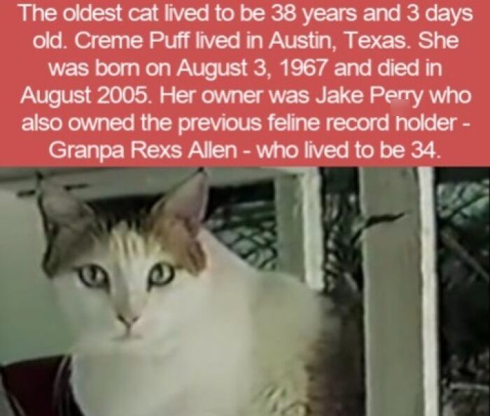 63 Interesting Facts That May Make You Insufferably Good At Quiz Night 63 Interesting Facts That May Make You Insufferably Good At Quiz Night