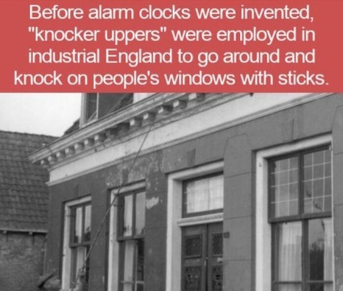 63 Interesting Facts That May Make You Insufferably Good At Quiz Night 63 Interesting Facts That May Make You Insufferably Good At Quiz Night