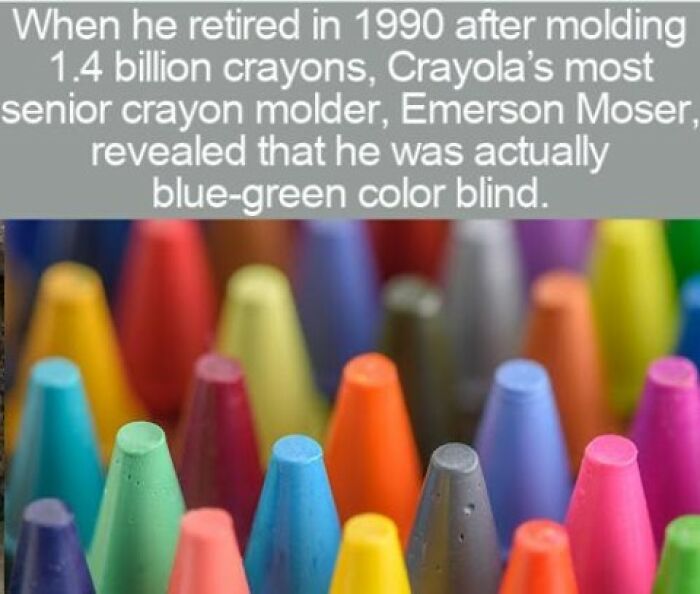 63 Interesting Facts That May Make You Insufferably Good At Quiz Night 63 Interesting Facts That May Make You Insufferably Good At Quiz Night