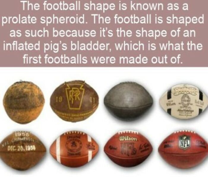 63 Interesting Facts That May Make You Insufferably Good At Quiz Night 63 Interesting Facts That May Make You Insufferably Good At Quiz Night