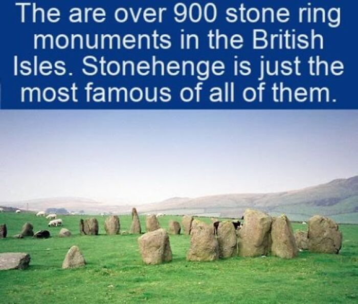 63 Interesting Facts That May Make You Insufferably Good At Quiz Night 63 Interesting Facts That May Make You Insufferably Good At Quiz Night