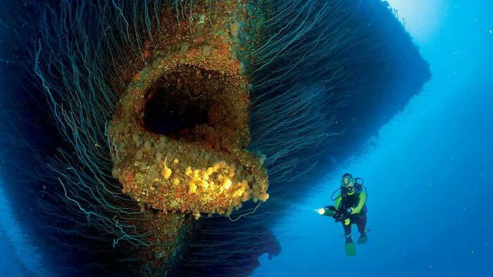 62 Incredible Things People Have Discovered At The Bottom Of The Ocean 62 Incredible Things People Have Discovered At The Bottom Of The Ocean