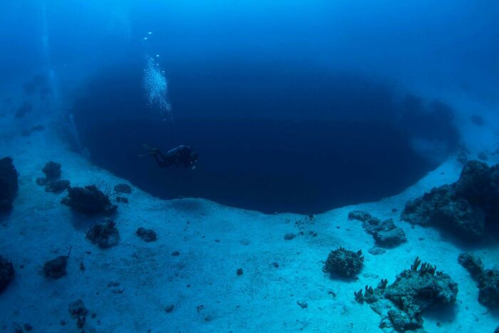62 Incredible Things People Have Discovered At The Bottom Of The Ocean 62 Incredible Things People Have Discovered At The Bottom Of The Ocean