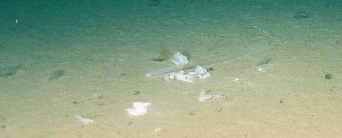 62 Incredible Things People Have Discovered At The Bottom Of The Ocean 62 Incredible Things People Have Discovered At The Bottom Of The Ocean