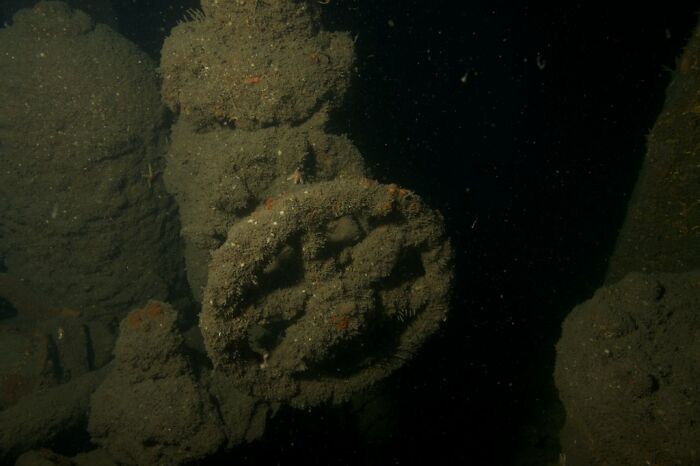62 Incredible Things People Have Discovered At The Bottom Of The Ocean 62 Incredible Things People Have Discovered At The Bottom Of The Ocean