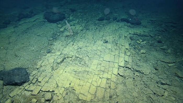62 Incredible Things People Have Discovered At The Bottom Of The Ocean 62 Incredible Things People Have Discovered At The Bottom Of The Ocean