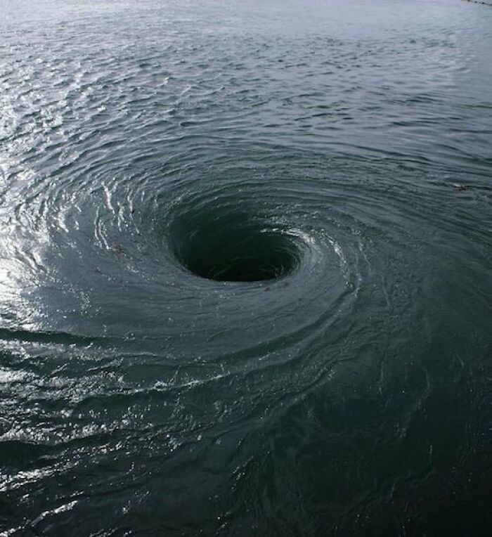 62 Incredible Things People Have Discovered At The Bottom Of The Ocean 62 Incredible Things People Have Discovered At The Bottom Of The Ocean