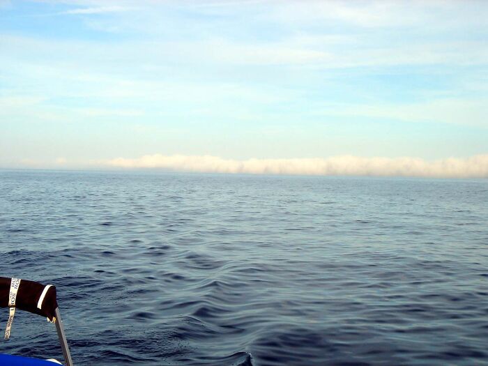 62 Incredible Things People Have Discovered At The Bottom Of The Ocean 62 Incredible Things People Have Discovered At The Bottom Of The Ocean