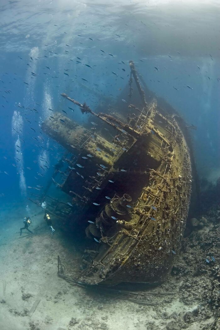 62 Incredible Things People Have Discovered At The Bottom Of The Ocean 62 Incredible Things People Have Discovered At The Bottom Of The Ocean
