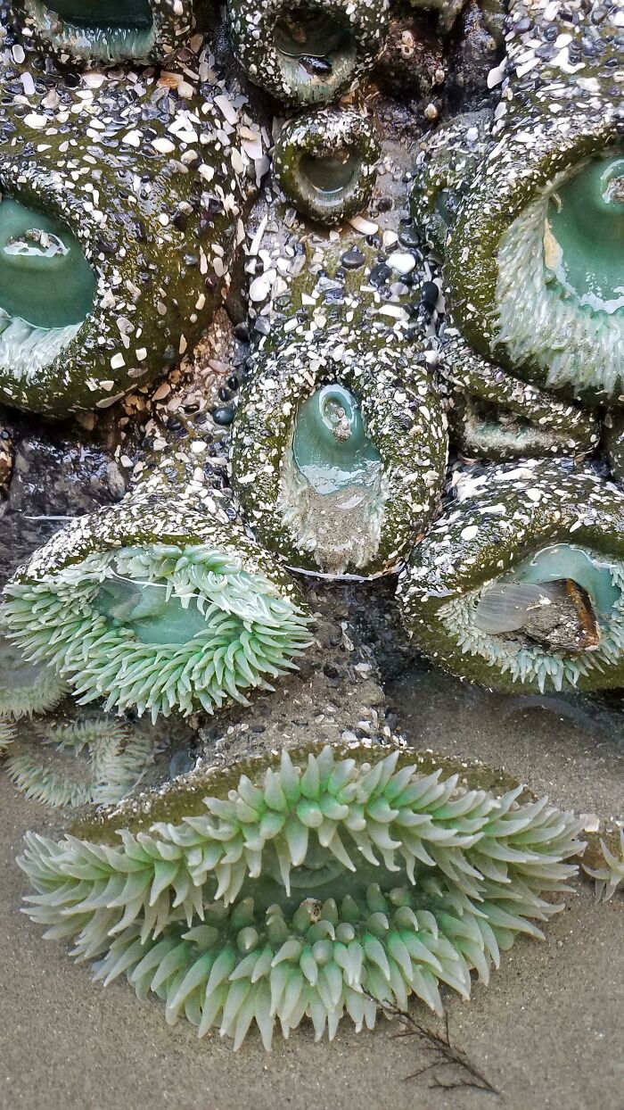 62 Incredible Things People Have Discovered At The Bottom Of The Ocean 62 Incredible Things People Have Discovered At The Bottom Of The Ocean
