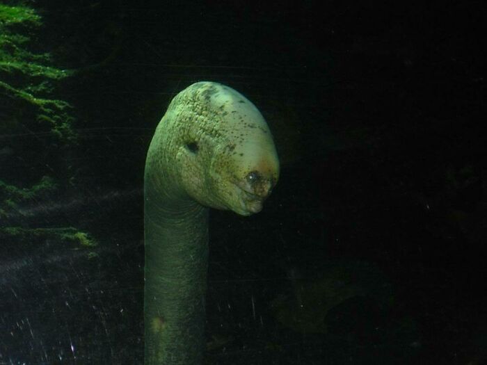 62 Incredible Things People Have Discovered At The Bottom Of The Ocean 62 Incredible Things People Have Discovered At The Bottom Of The Ocean