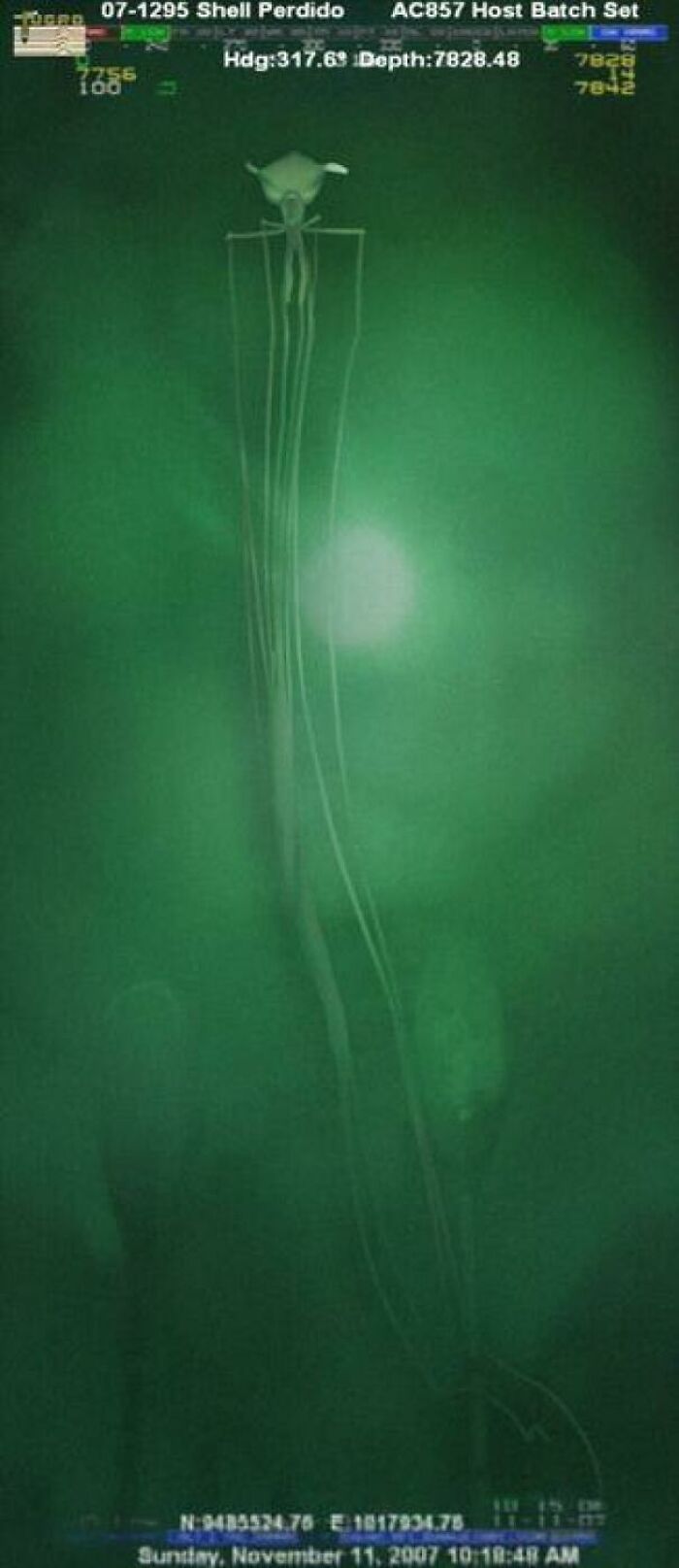 62 Incredible Things People Have Discovered At The Bottom Of The Ocean 62 Incredible Things People Have Discovered At The Bottom Of The Ocean