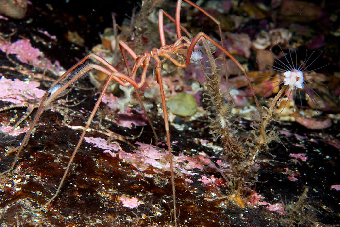 62 Incredible Things People Have Discovered At The Bottom Of The Ocean 62 Incredible Things People Have Discovered At The Bottom Of The Ocean