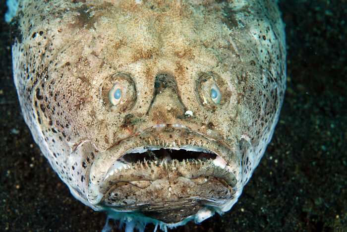 62 Incredible Things People Have Discovered At The Bottom Of The Ocean 62 Incredible Things People Have Discovered At The Bottom Of The Ocean