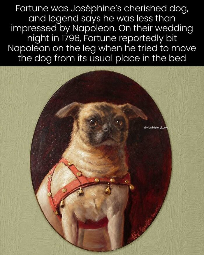 69 Photos From History That Might Change How You Picture The Past (New Pics)