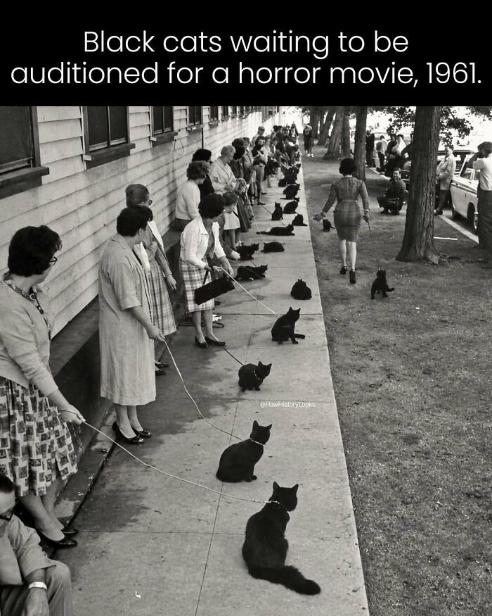 69 Photos From History That Might Change How You Picture The Past (New Pics)