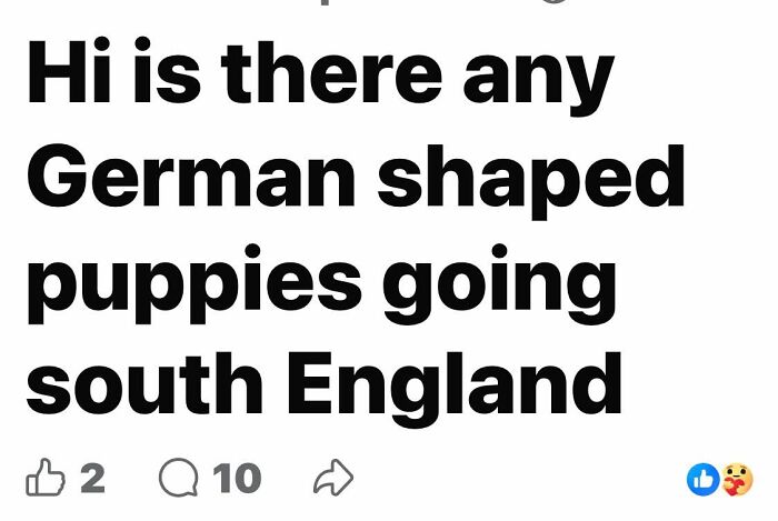73 Grammar Fails That Might Make You Wonder How Anyone Even Came Up With That Spelling 73 Grammar Fails That Might Make You Wonder How Anyone Even Came Up With That Spelling