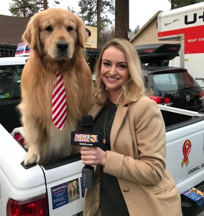 83 Adorable Animals Who Somehow Found Themselves On The Payroll 83 Adorable Animals Who Somehow Found Themselves On The Payroll