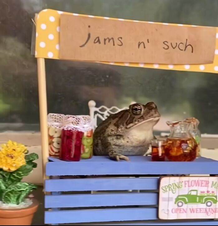 83 Adorable Animals Who Somehow Found Themselves On The Payroll 83 Adorable Animals Who Somehow Found Themselves On The Payroll