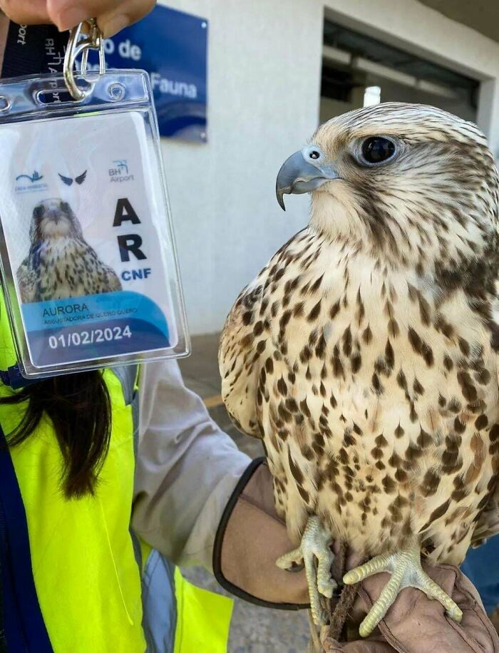 83 Adorable Animals Who Somehow Found Themselves On The Payroll 83 Adorable Animals Who Somehow Found Themselves On The Payroll