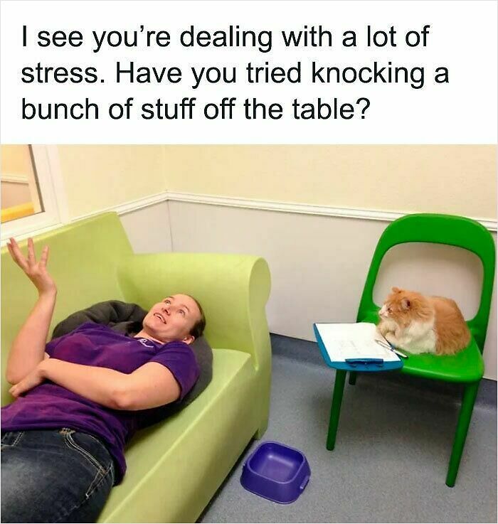 83 Adorable Animals Who Somehow Found Themselves On The Payroll 83 Adorable Animals Who Somehow Found Themselves On The Payroll