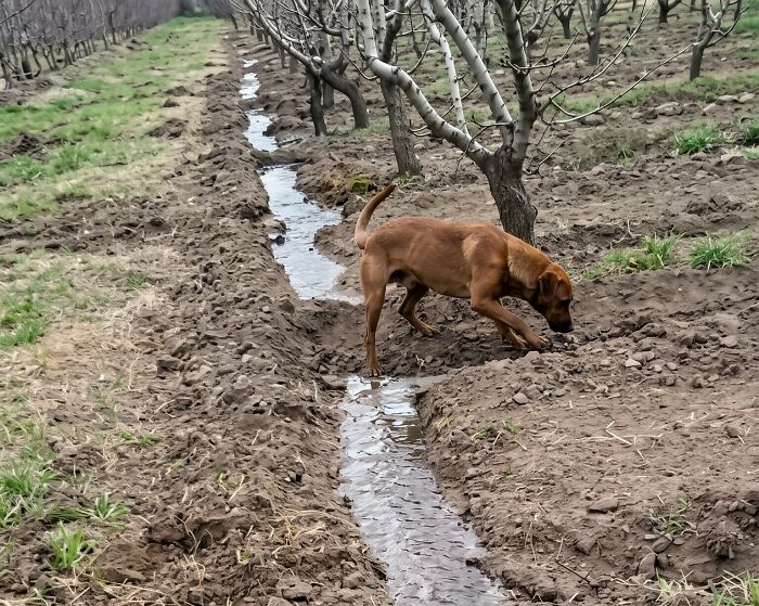 83 Adorable Animals Who Somehow Found Themselves On The Payroll 83 Adorable Animals Who Somehow Found Themselves On The Payroll
