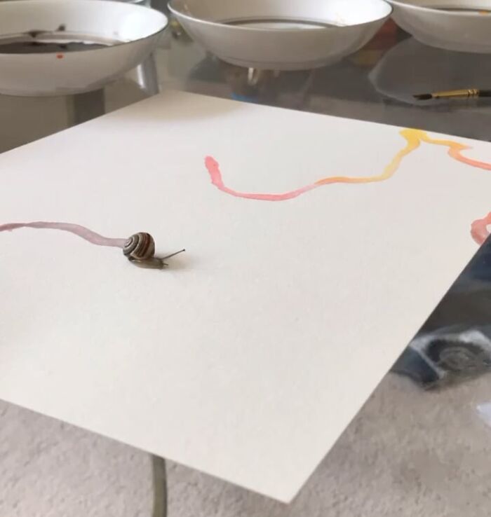 83 Adorable Animals Who Somehow Found Themselves On The Payroll 83 Adorable Animals Who Somehow Found Themselves On The Payroll