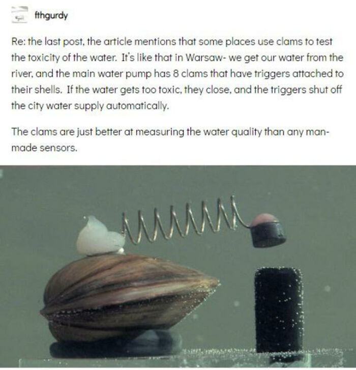 83 Adorable Animals Who Somehow Found Themselves On The Payroll 83 Adorable Animals Who Somehow Found Themselves On The Payroll