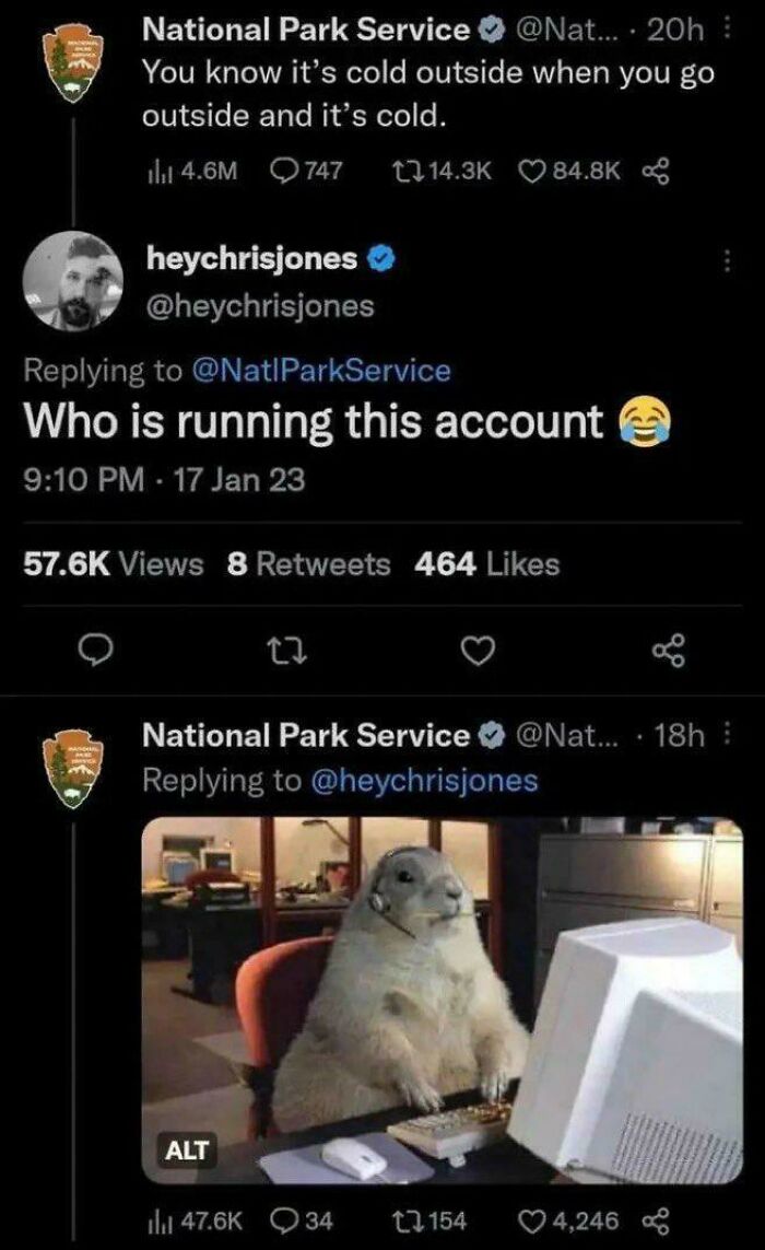 83 Adorable Animals Who Somehow Found Themselves On The Payroll 83 Adorable Animals Who Somehow Found Themselves On The Payroll