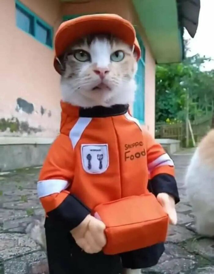 83 Adorable Animals Who Somehow Found Themselves On The Payroll 83 Adorable Animals Who Somehow Found Themselves On The Payroll