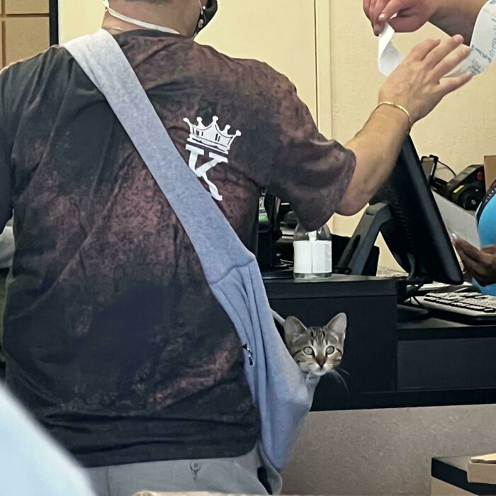 83 Adorable Animals Who Somehow Found Themselves On The Payroll 83 Adorable Animals Who Somehow Found Themselves On The Payroll