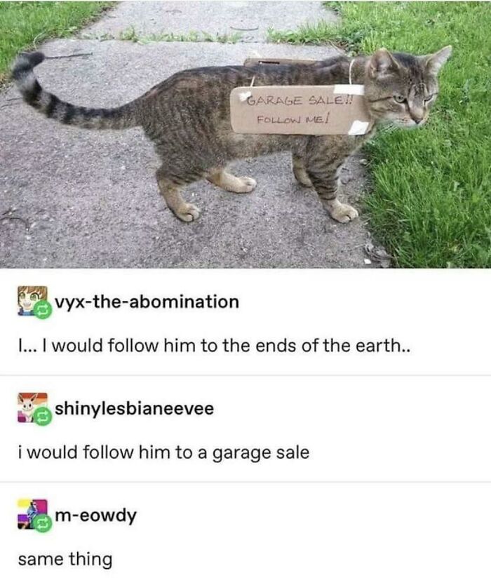 83 Adorable Animals Who Somehow Found Themselves On The Payroll 83 Adorable Animals Who Somehow Found Themselves On The Payroll