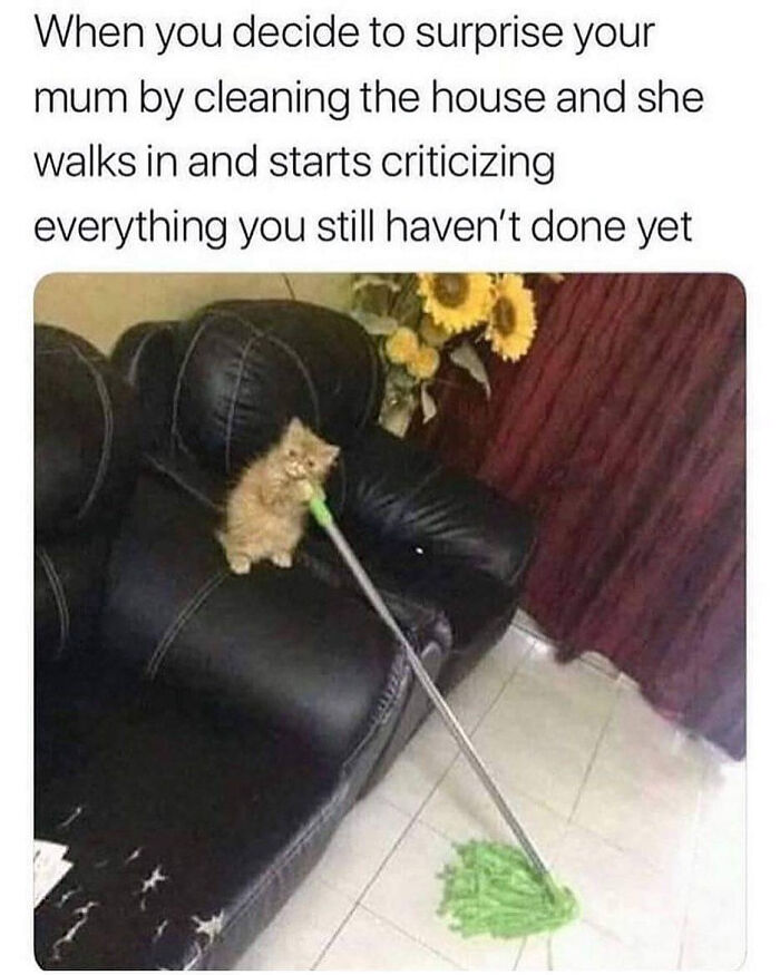 83 Adorable Animals Who Somehow Found Themselves On The Payroll 83 Adorable Animals Who Somehow Found Themselves On The Payroll